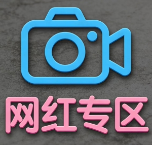 网红专区